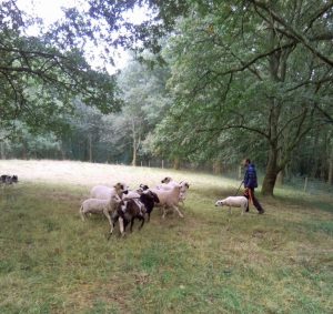 Magny-les-Hameaux